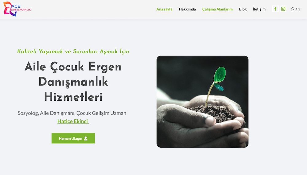 Acedanismanlik web