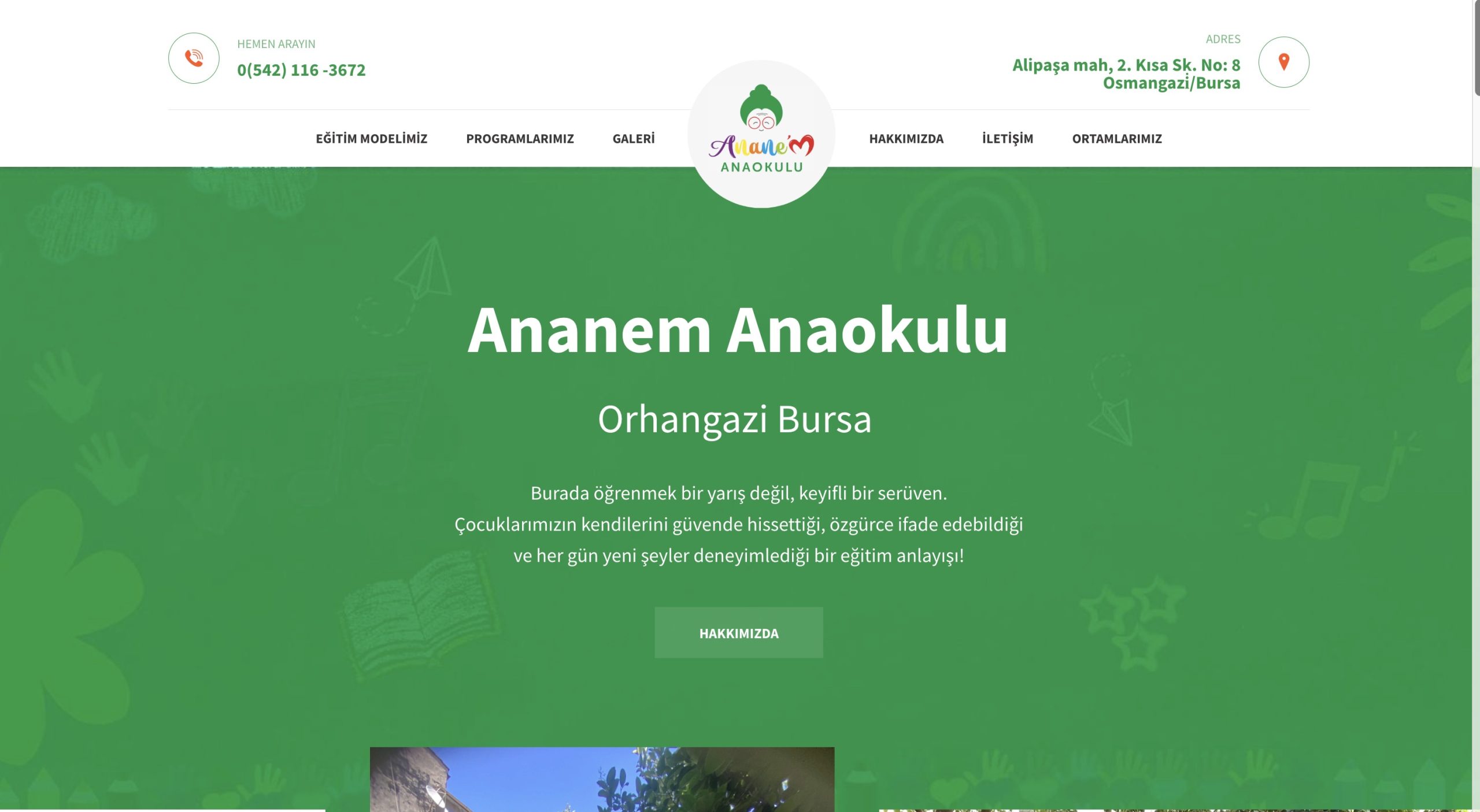 Ananeanaokulu site